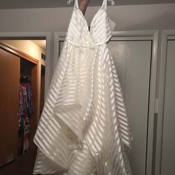 Hailey Paige Decklyn NWT